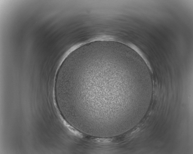 X0000080730861200612221251