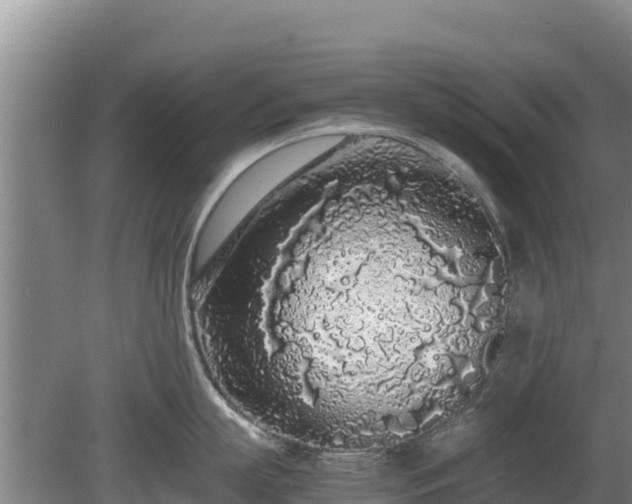 X0000080730863200612221251