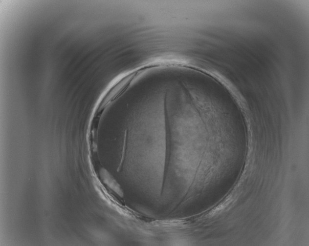 X0000080730864200612221251