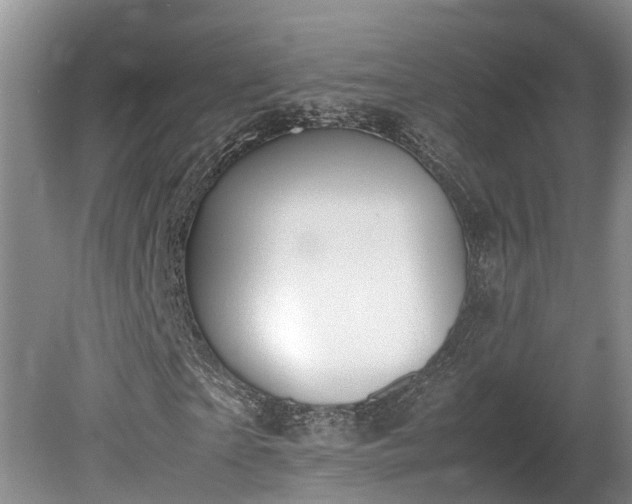 X0000080730865200612221250