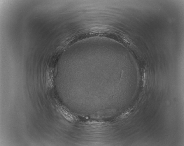 X0000080730868200612221250