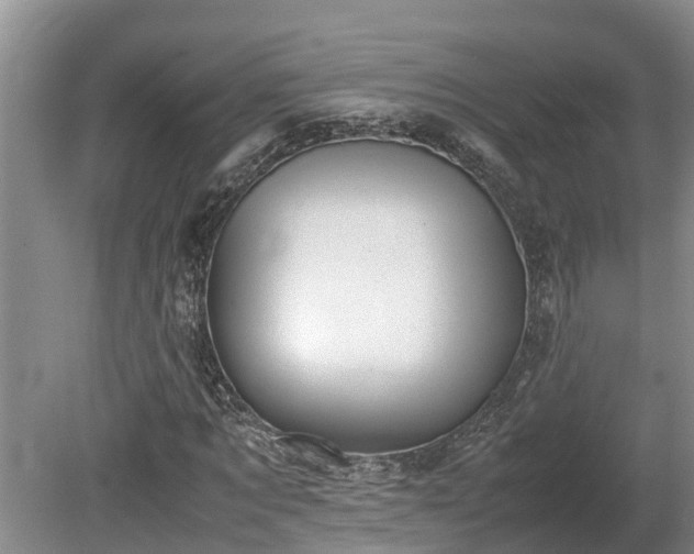 X0000080730869200612221250