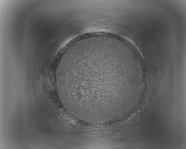 X0000080730871200612221250