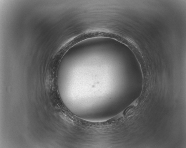 X0000080730872200612221250