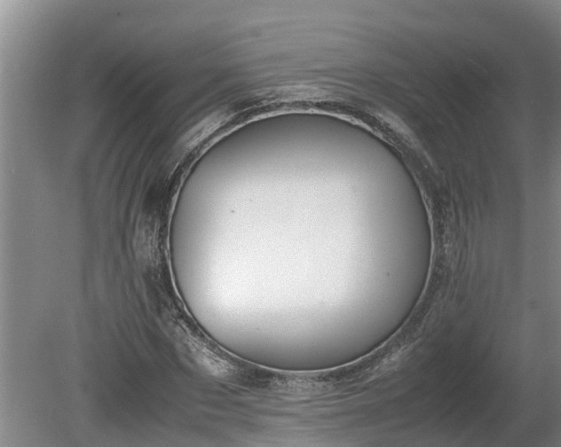 X0000080730873200612221250