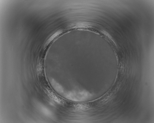 X0000080730874200612221250