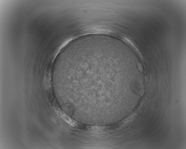 X0000080730875200612221250