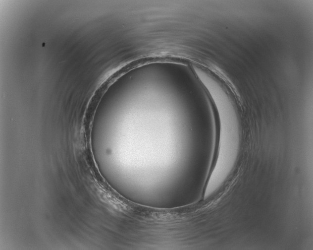 X0000080730876200612221250