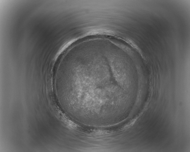 X0000080730877200612221250