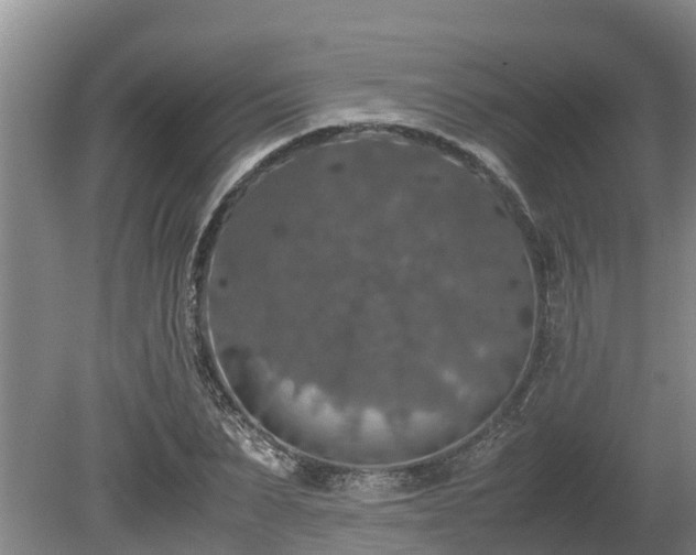 X0000080730879200612221250