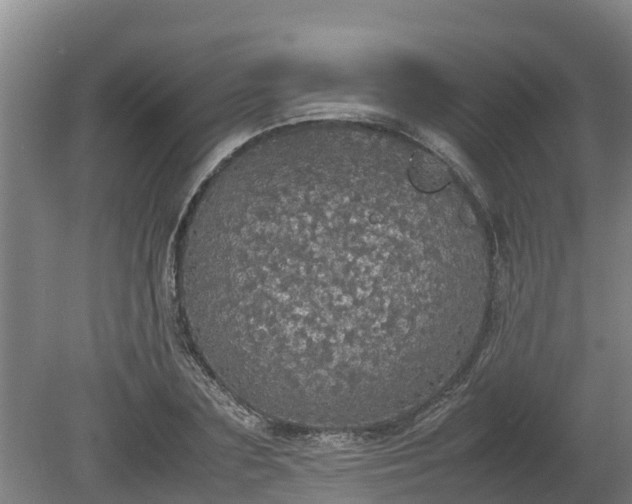 X0000080730883200612221250