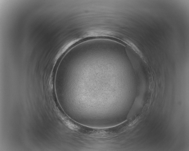 X0000080730885200612221250