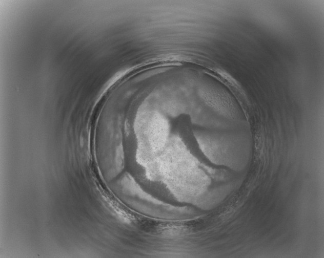 X0000080730886200612221250