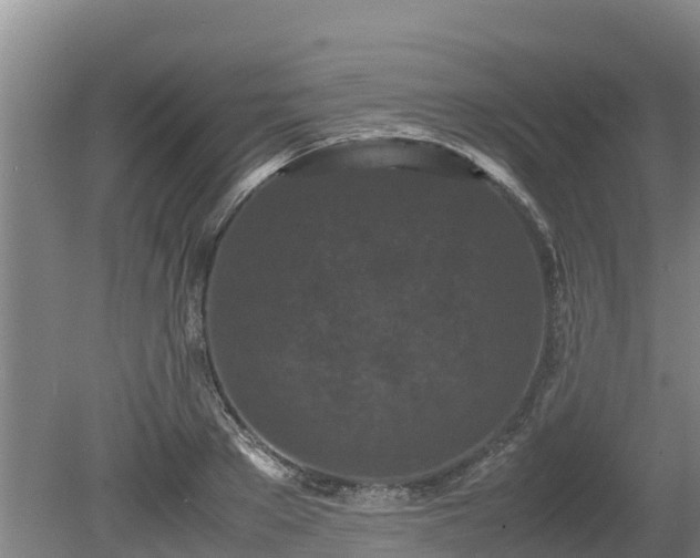 X0000080730889200612221250