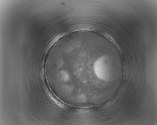 X0000080730890200612221250