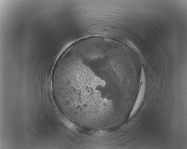 X0000080730891200612221250