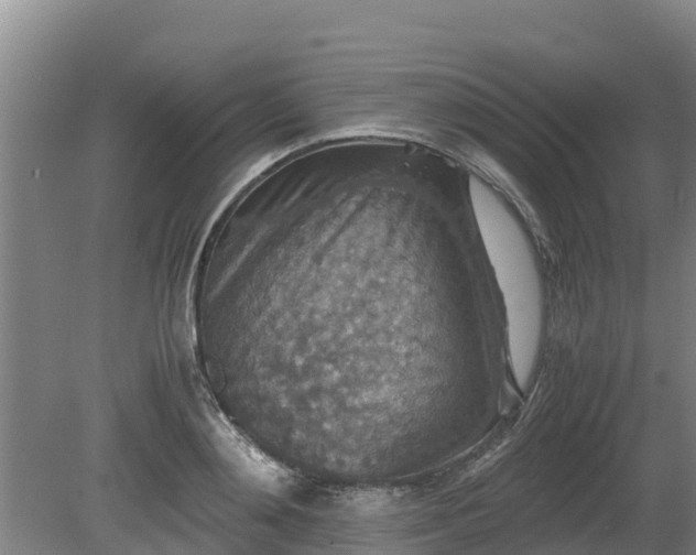 X0000080730892200612221250