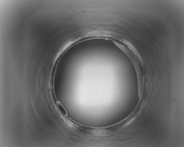 X0000080730893200612221250