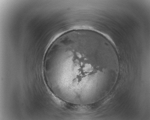 X0000080730895200612221250