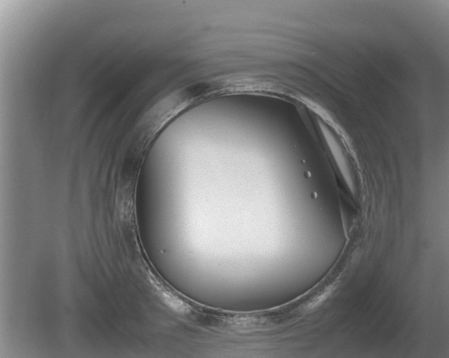 X0000080730897200612221250