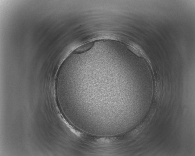 X0000080730898200612221250