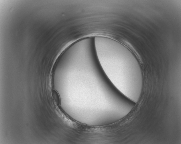 X0000080730900200612221250