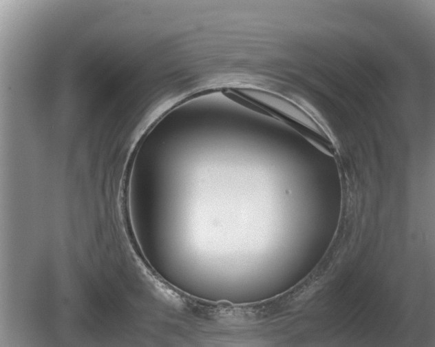 X0000080730901200612221250