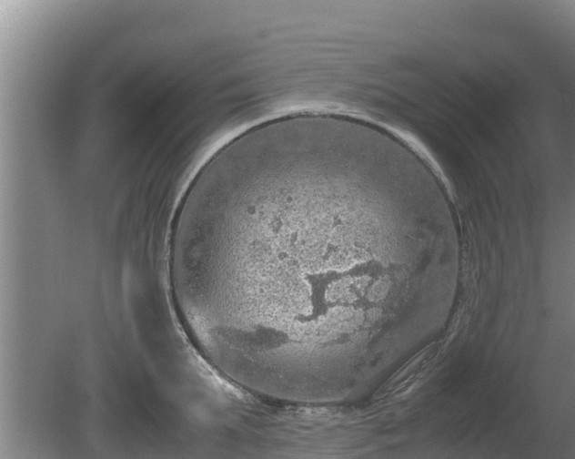 X0000080730903200612221250