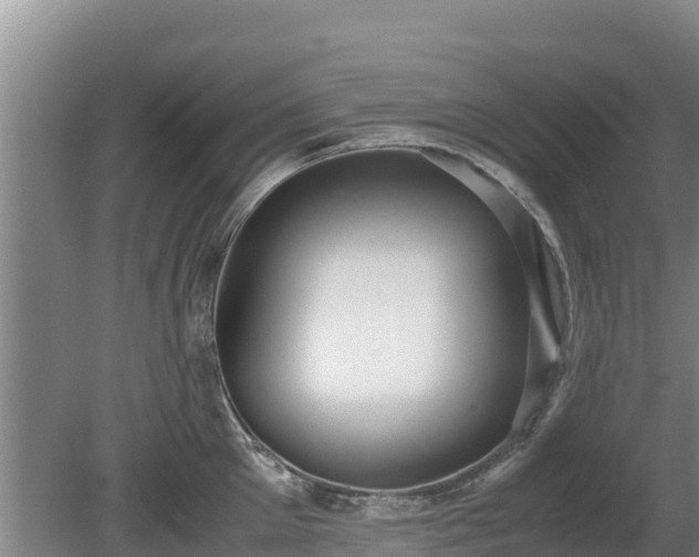 X0000080730905200612221250