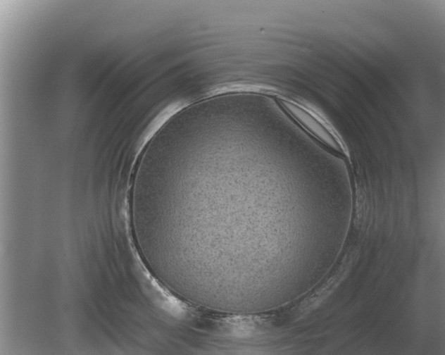 X0000080730906200612221250