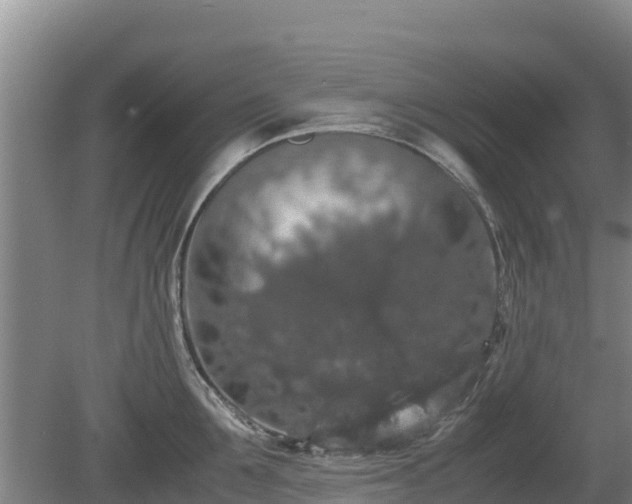 X0000080730907200612221250