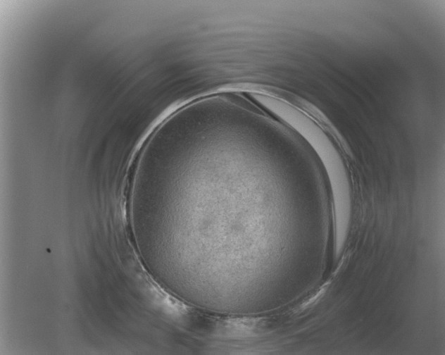 X0000080730908200612221250