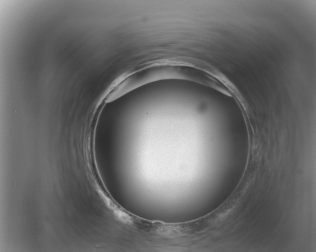 X0000080730909200612221250