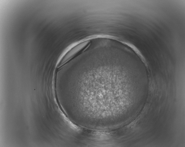 X0000080730910200612221249