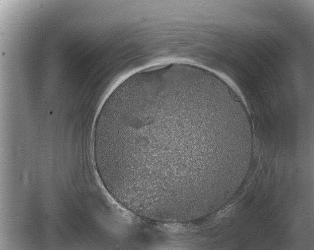 X0000080730911200612221249