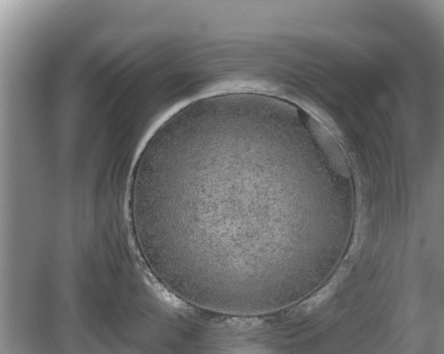 X0000080730912200612221249