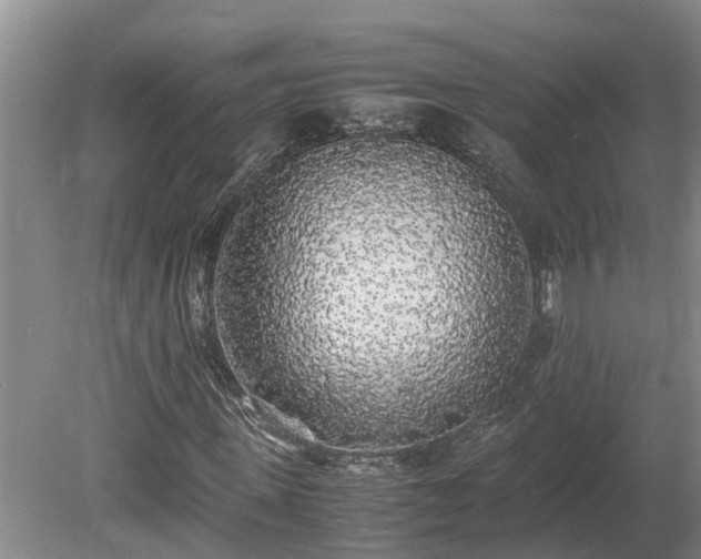 X0000080730915200612221249