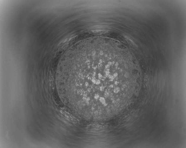 X0000080730917200612221249