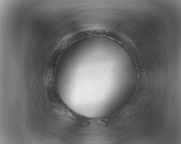 X0000080730918200612221249