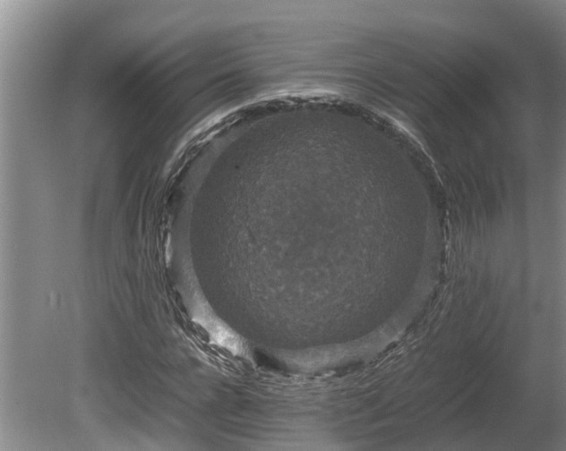 X0000080730920200612221249