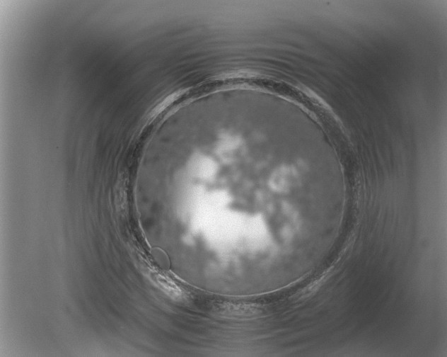 X0000080730921200612221249