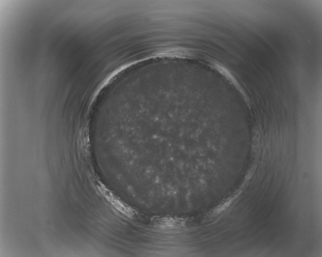 X0000080730923200612221249