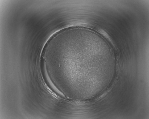 X0000080730924200612221249