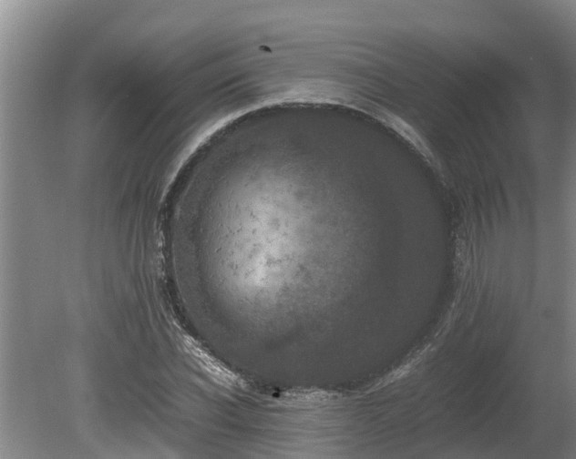 X0000080730926200612221249