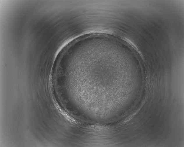 X0000080730928200612221249