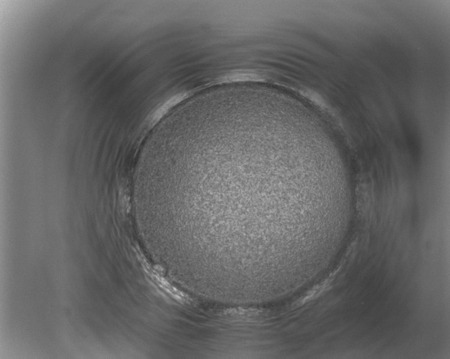 X0000080730929200612221249