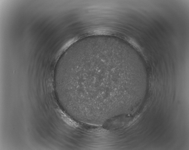 X0000080730930200612221249