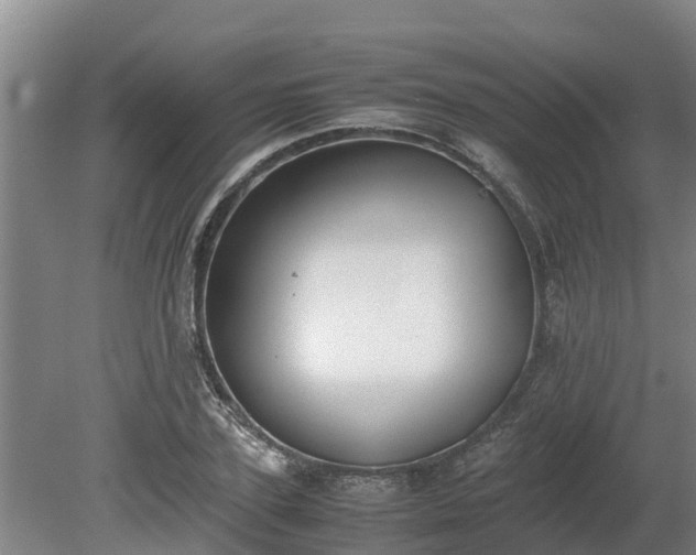 X0000080730931200612221249