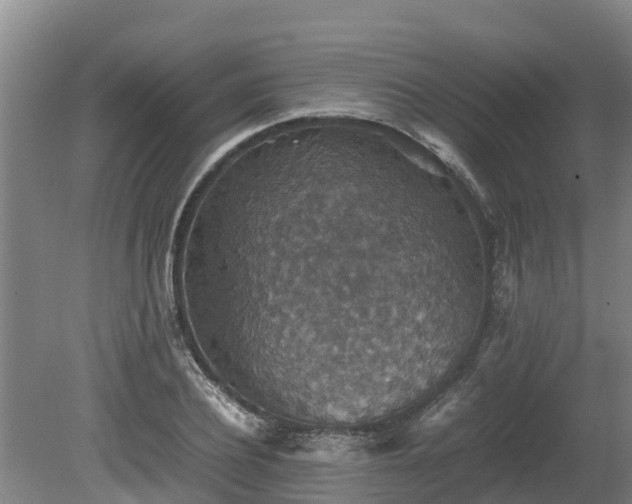 X0000080730932200612221249