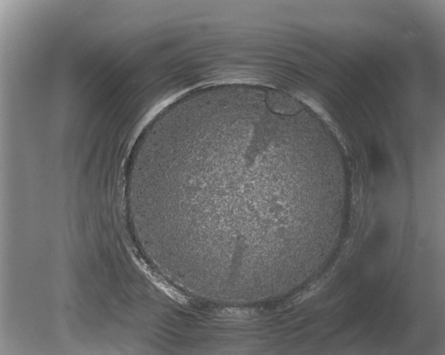 X0000080730933200612221249